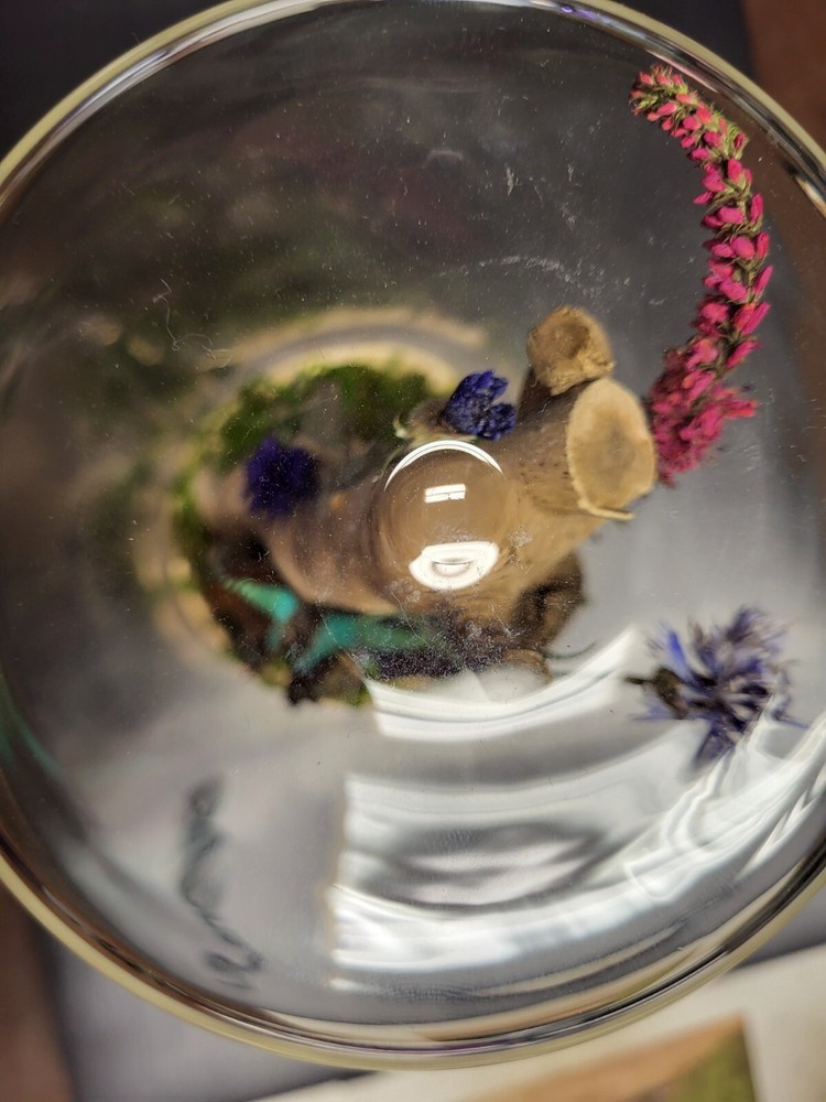 Butterfly/nature globe
