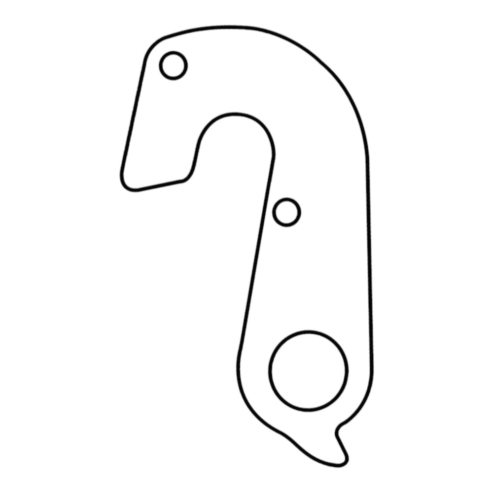 Derailleur Hanger 12