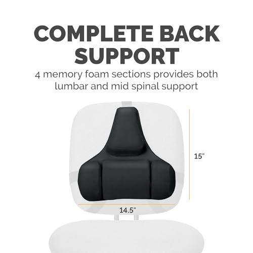 FELLOWES PROFESSIONAL SERIES BACK SUPPORT, BLACK (8037601) - BLACK