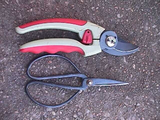 Flower Pruning Scissors Shears Clipper Snips