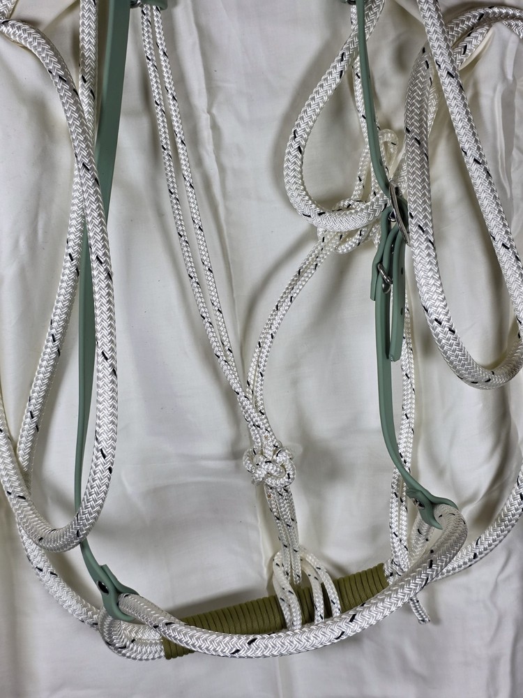 Soft Nose Loping Bridle