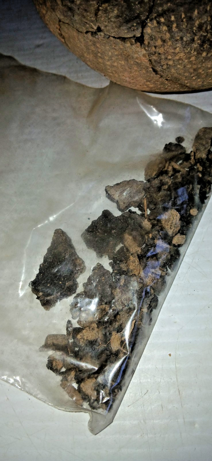 Pre-Columbian Native American Indian Mississippian Partial Pottery Jar Artifact