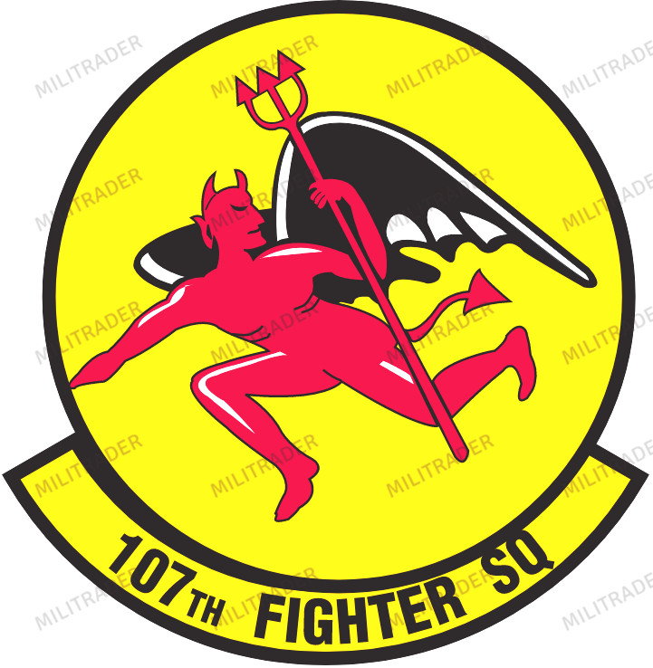 USAF 107th Fighter Squadron Decal