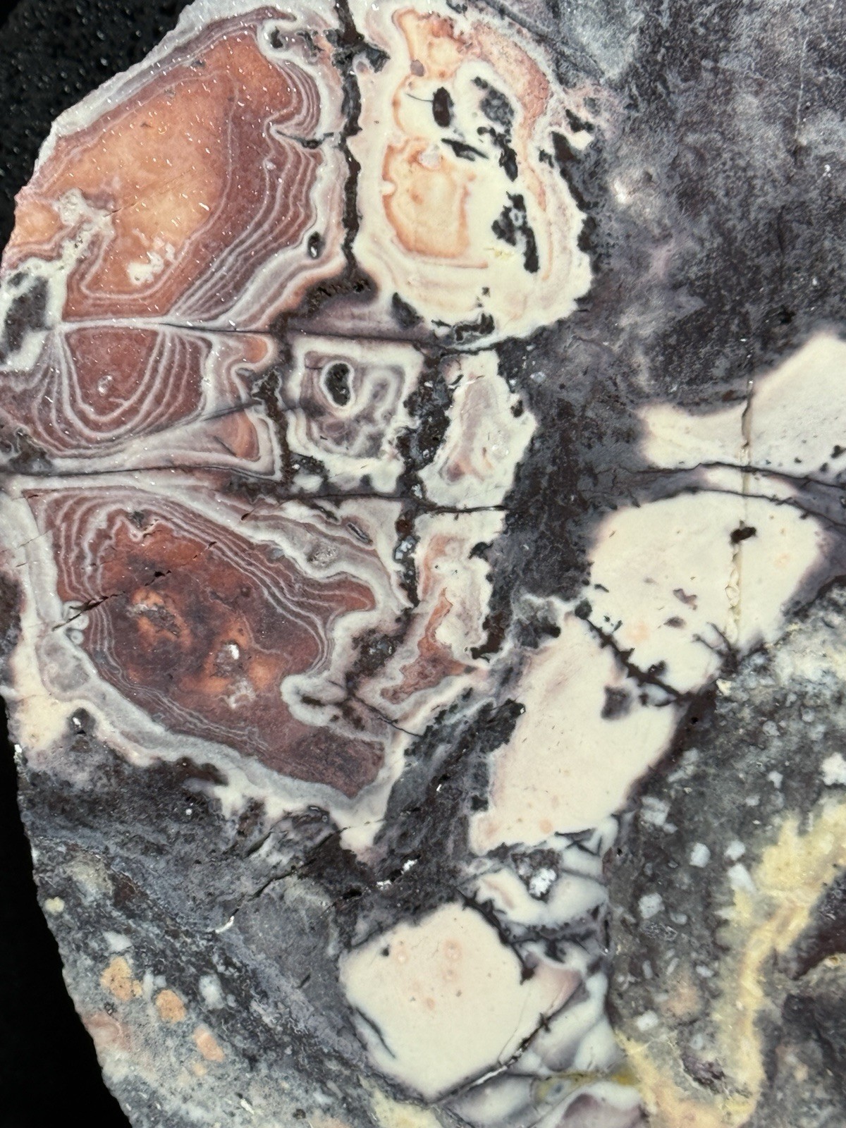 SCIFI PORCELAIN EXOTICA JASPER SLAB - UNPOLISHED Lapidary Rough Rock Mineral