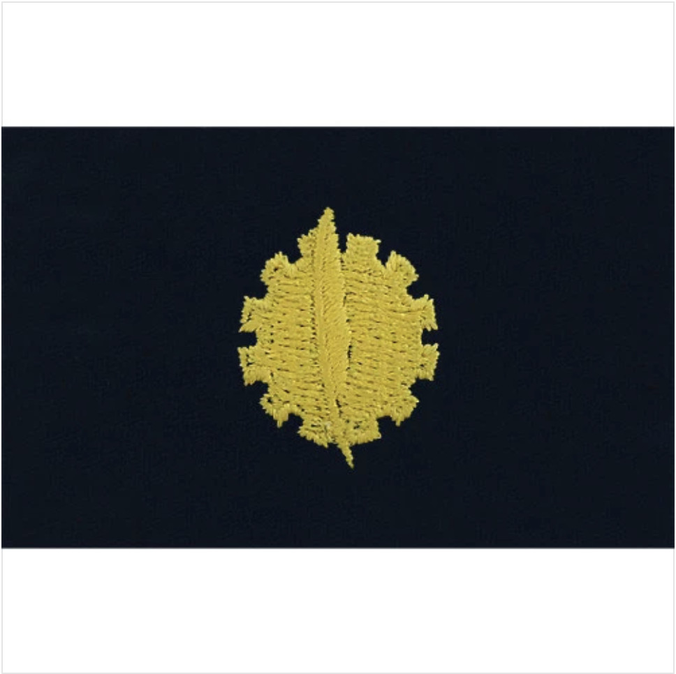 GENUINE U.S. NAVY EMBROIDERED COLLAR DEVICE: DATA PROCESSING - COVERALL