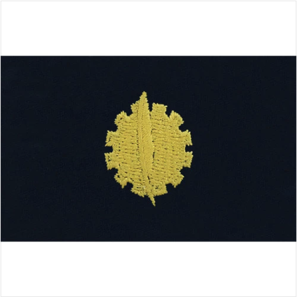 GENUINE U.S. NAVY EMBROIDERED COLLAR DEVICE: DATA PROCESSING - COVERALL