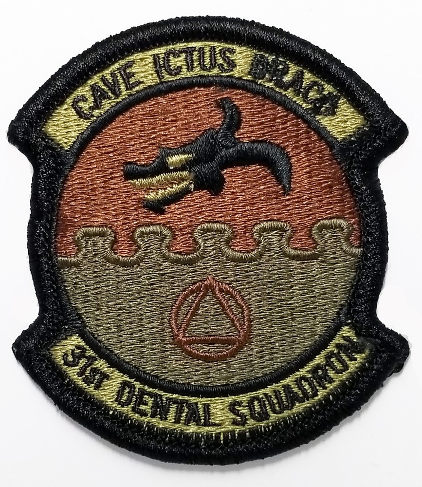 Air Force 31st Dental Squadron Subdued Hook Back Patch