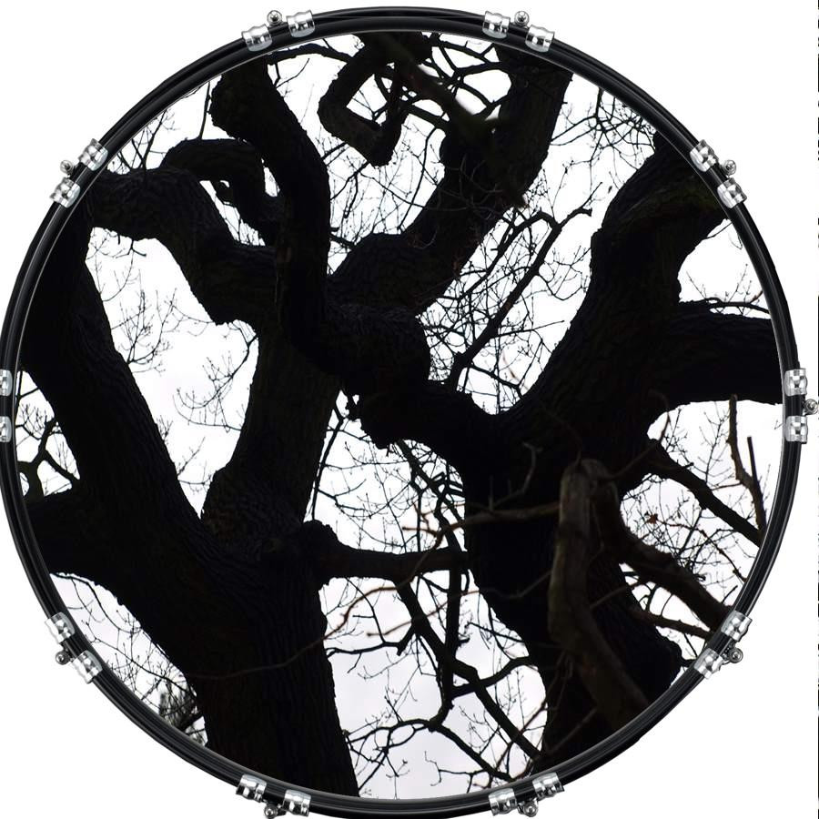 20" Custom Bass Kick Drum Front Head Graphic Graphical Tree Branches