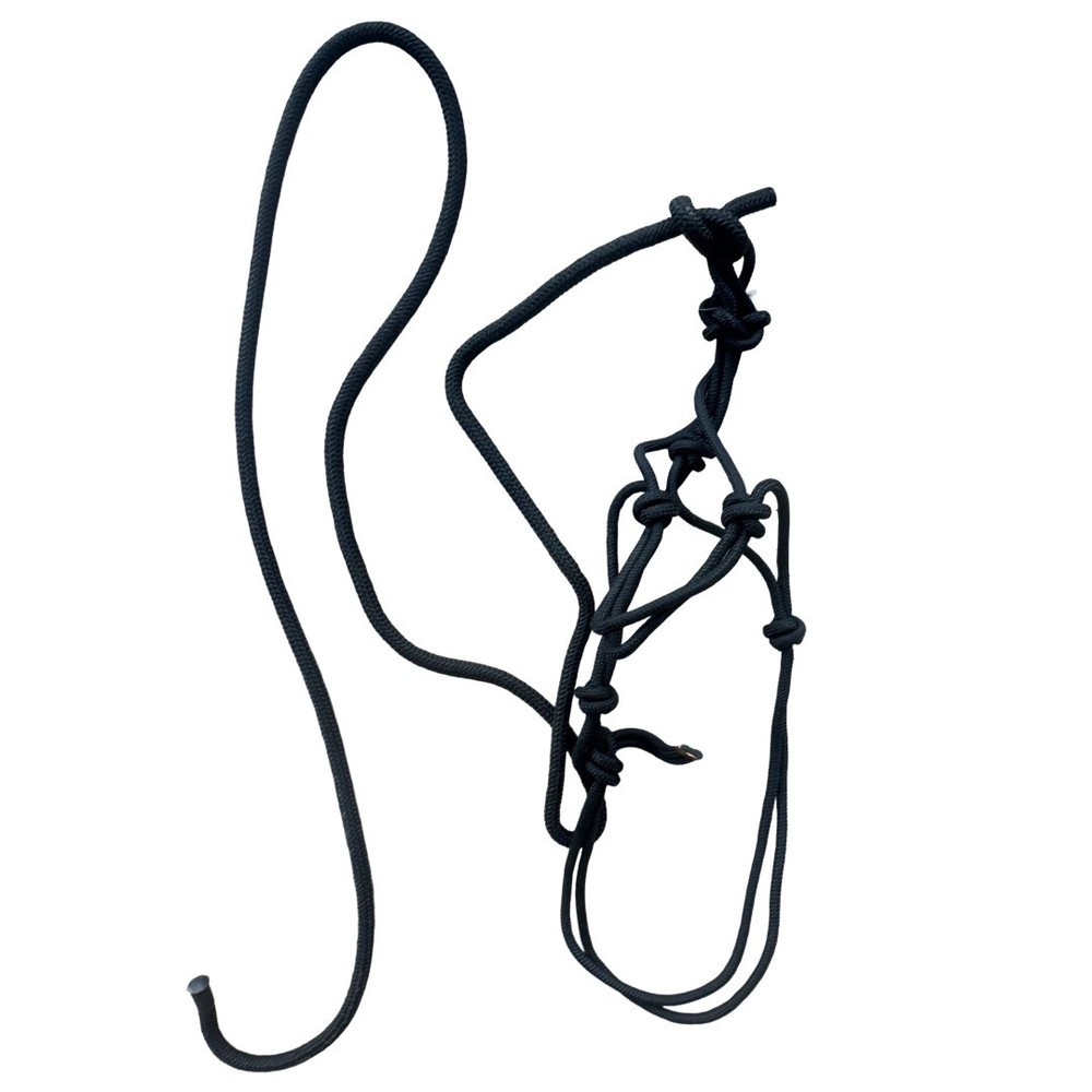 Rope Halter w/ 9' Lead