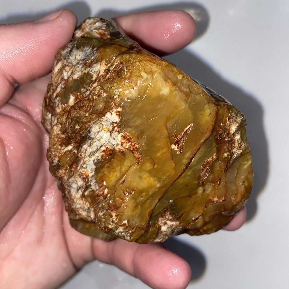 Cornflake Carnelian Unique Rough Lapidary Material 1 Pound 1.1 Oz