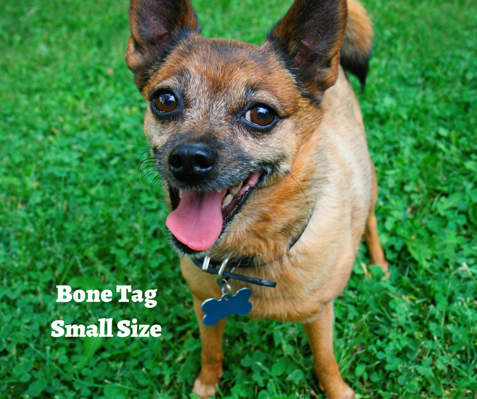 CUSTOM Laser ENGRAVED PERSONALIZED PET TAG ID DOG CAT NAME TAGS DOUBLE SIDE