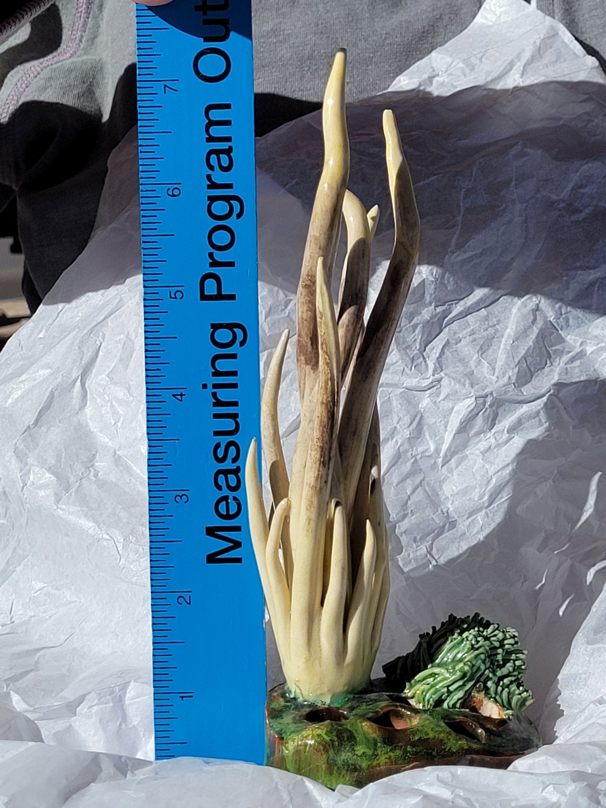 Rare Vintage Early Lorenzen Lantz Nova Scotia Clay Mushroom Clavaria Fumosa ’