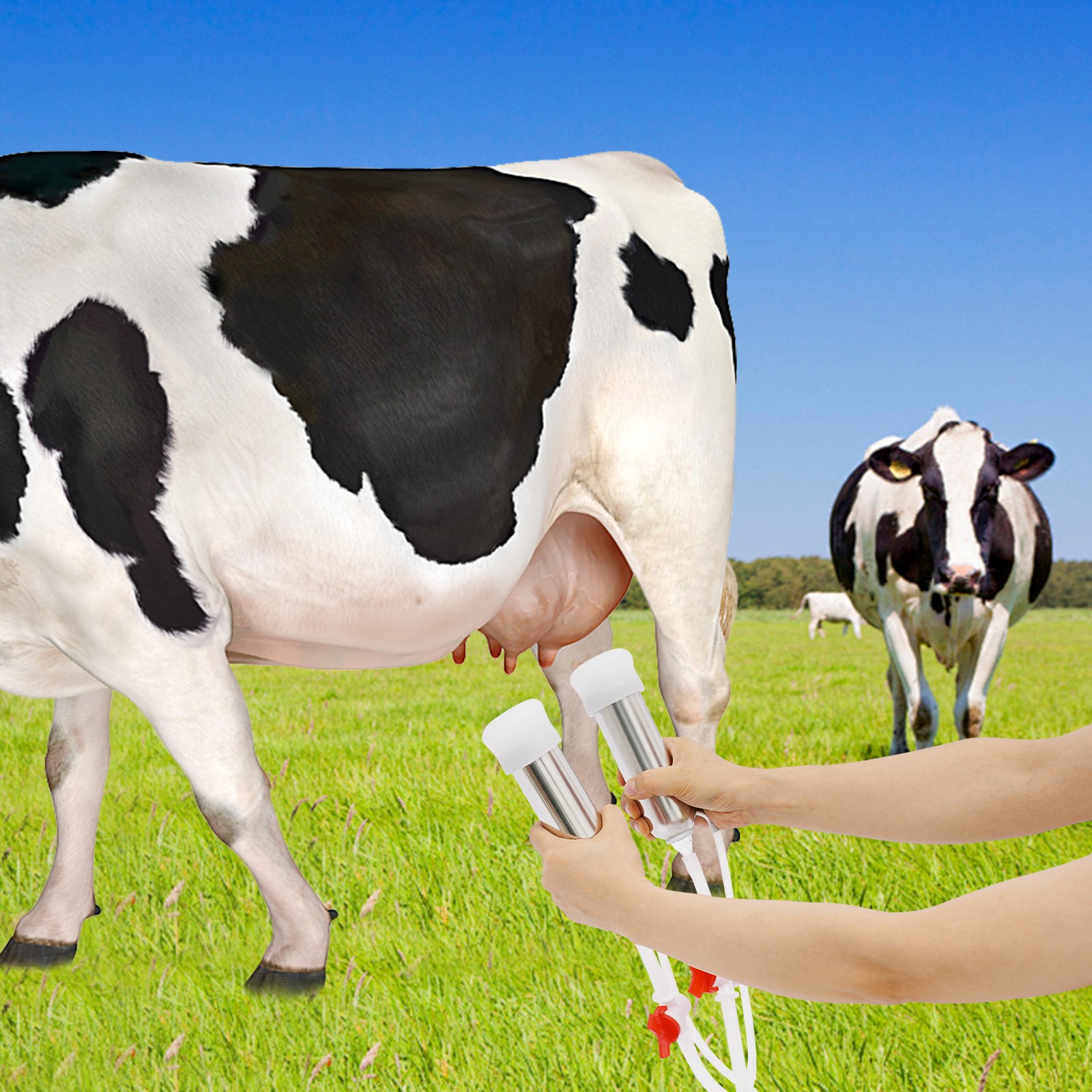 Pulsation Electric Cow Milking Machine Milking Equipment 10L Stainless Steel