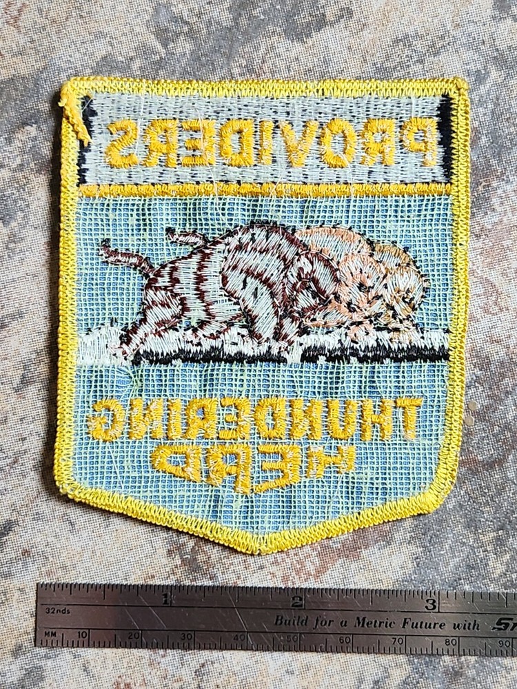 Vintage U.S. Army 43rd General Support Group Providers Thundering Herd Patch