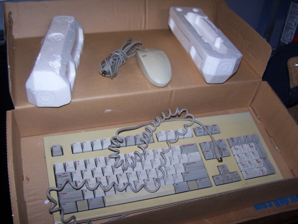 HP PS/2 keyboard and PS/2 mouse Set