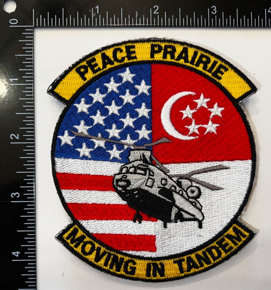 USAF US & Turkey Air Force Peace Praire Moving In Tandem HOOK & LOOP Patch