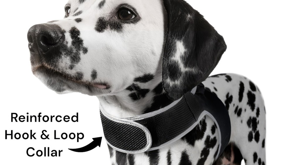 iTrackPET MINI GPS Dog Tracking and Training Collar Device