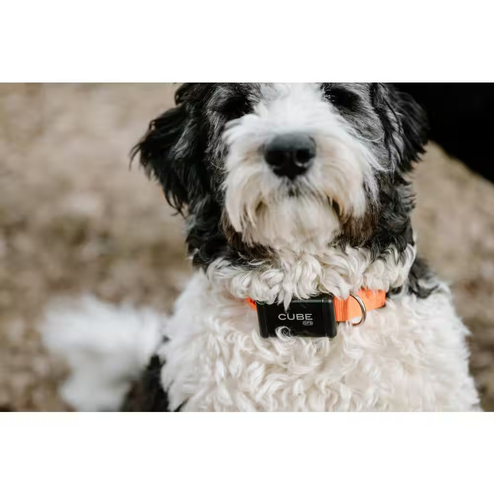 GPS Asset Tracker Anti-Theft Tracking Device