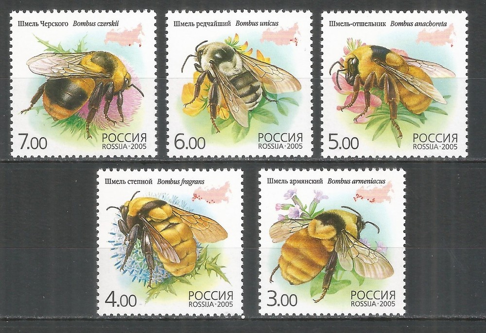 Russia 2005 stamps mint MNH - bumblebee