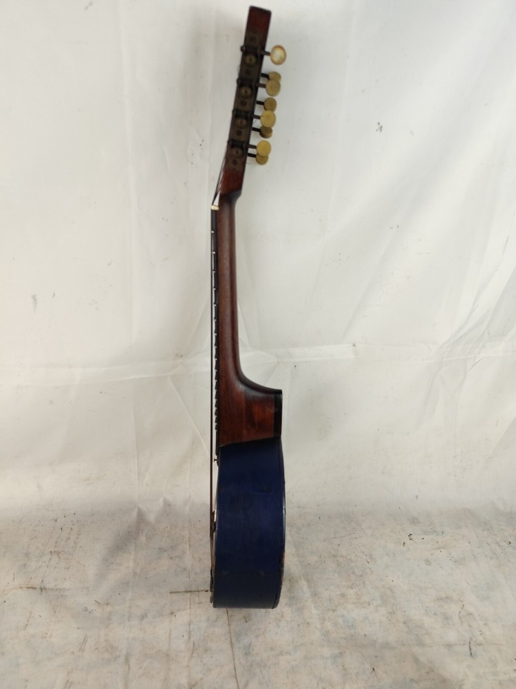 Apus 8 String Mandolin Banjo