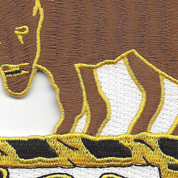 10th Cavalry Regiment Patch