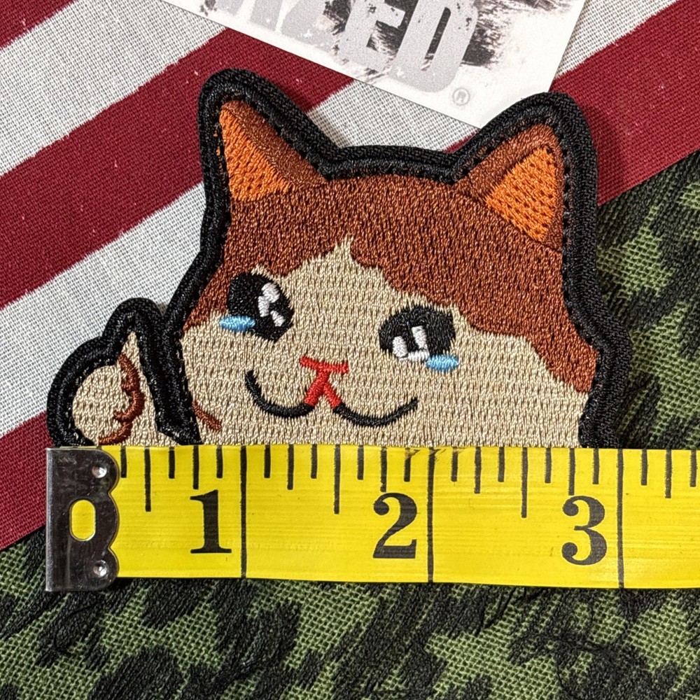 Thumbs Up Cat Dude 3x2” Hook &loop Funny tactical With Backing