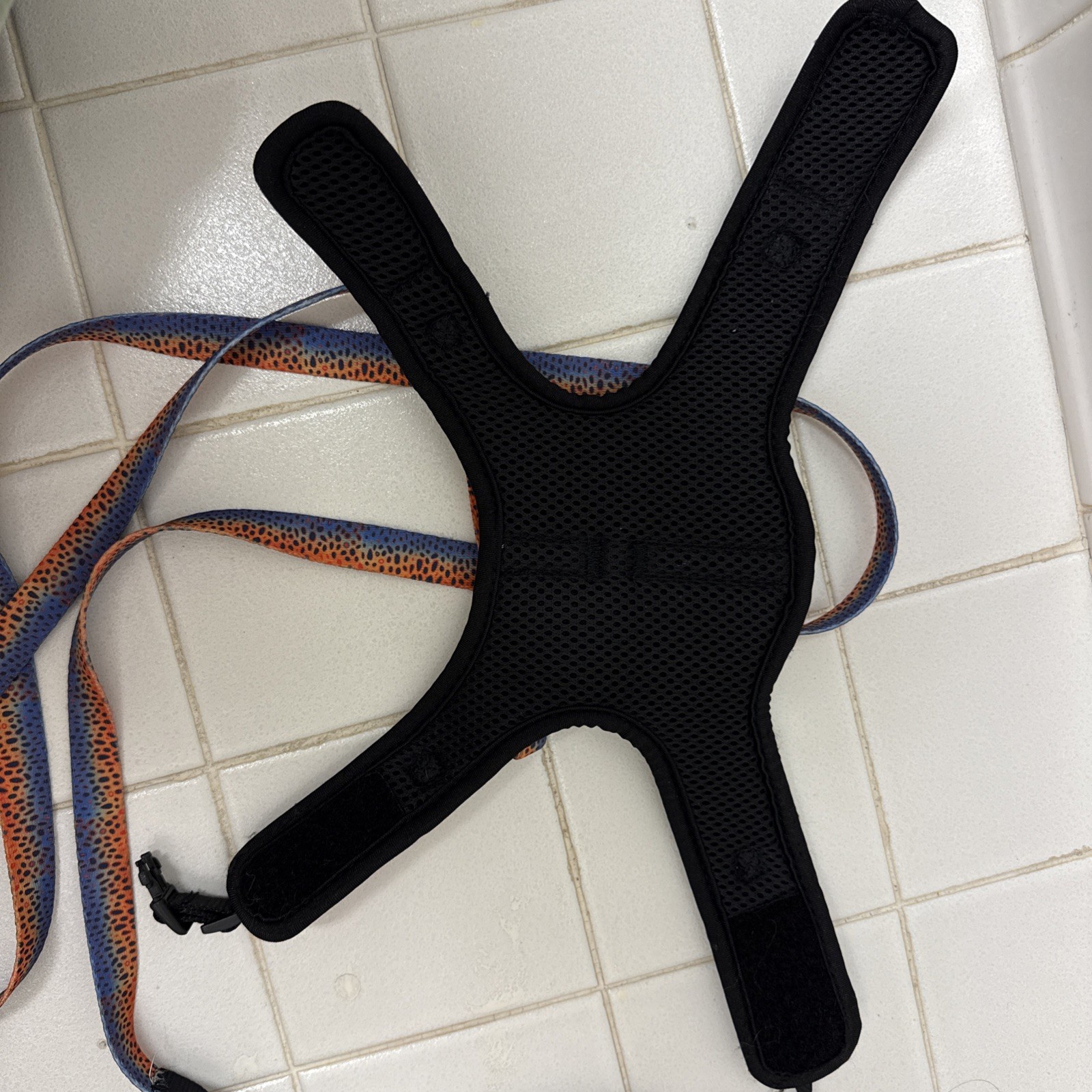 Small Dog Or Cat Leash And Harness Speckled Trout Design