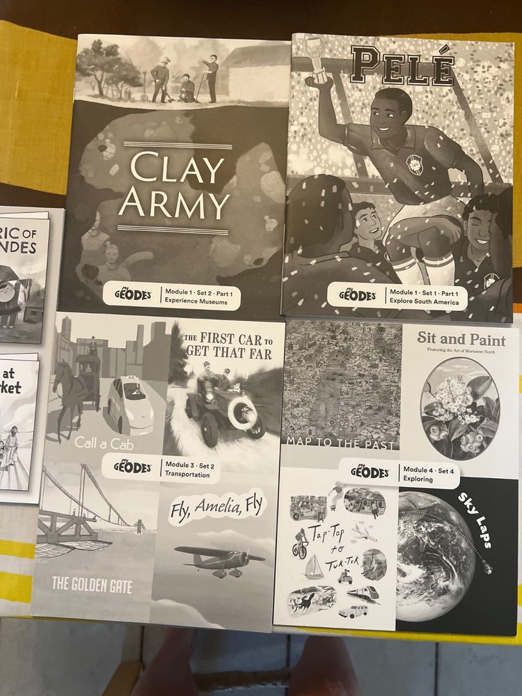 Geodes Wilson Fundations book. Level K