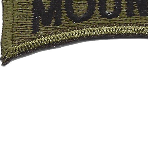 U.S. 10th Mountain Division Rocker OD Patch