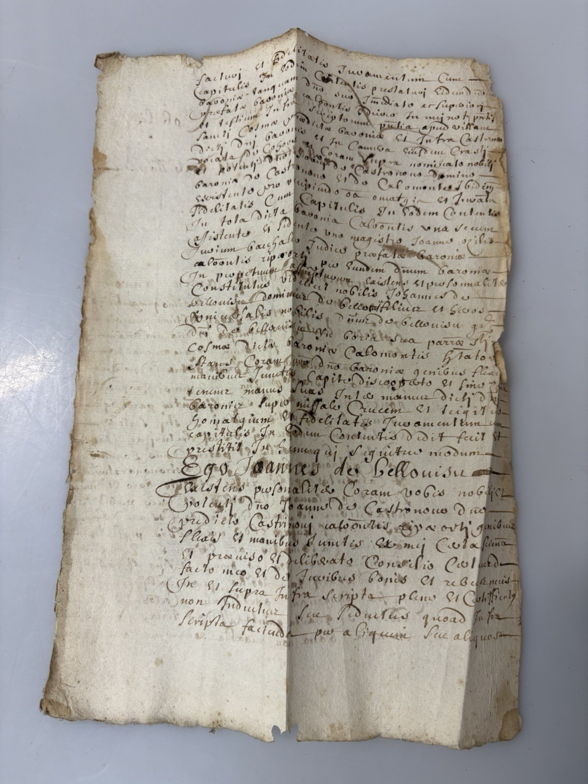 16th Century Manuscript Leaf Feudal Homage Document “Nobilis” RARE FIND