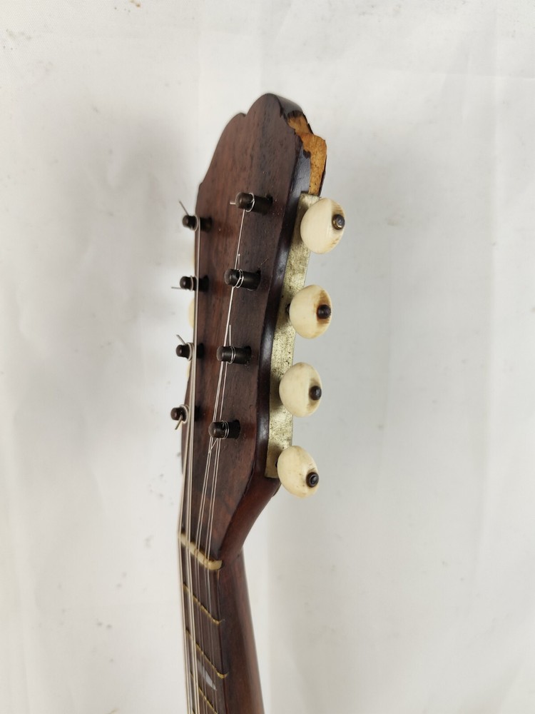 Mandolin 4/4 Giovanni Salv 1901 Naples 曼陀林 만돌린マンドリン