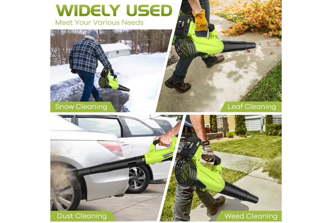 Leaf Blower, Electric Cordless Blower with 2 Batteries and A-Green