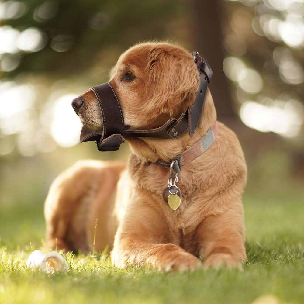 , Adjustable Muzzle, Prevents Chewing, Rustic Guard, Pet Accessory, Full Grai...
