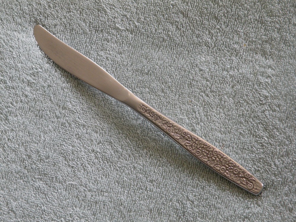 SPRING GARDEN Stainless Flatware / Silverware - Rogers Cutlery Co IS - Choice