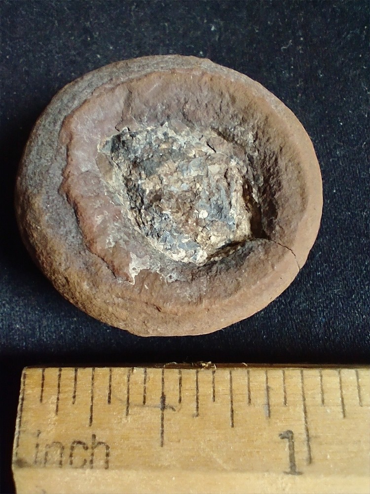 Mazon Creek Fossilized Coprolite