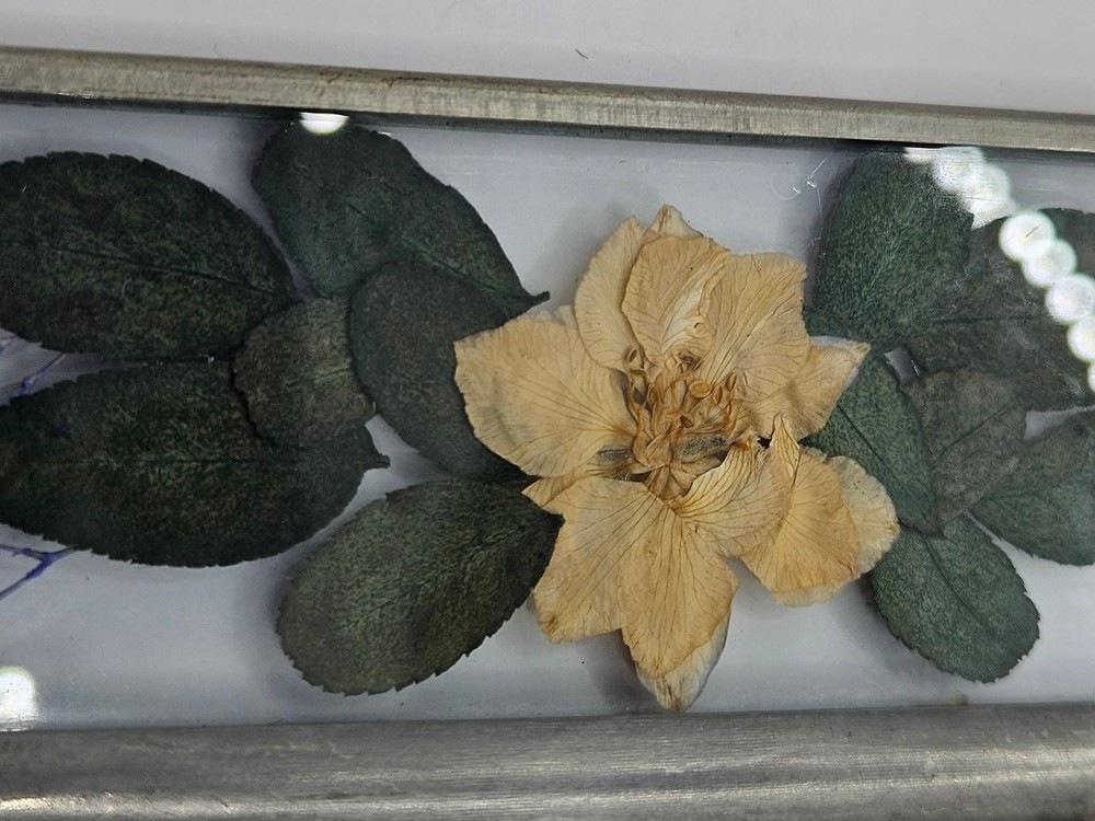 Pressed Flower wall hanging linked frames