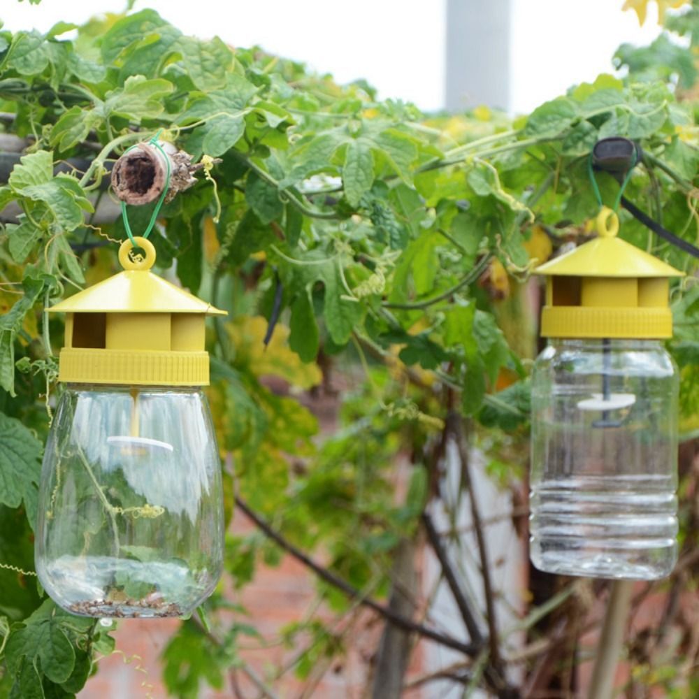 Fruit Fly Trap Killer Reusable Plastic Drosophila Trap Fruit Fly Trap Catcher