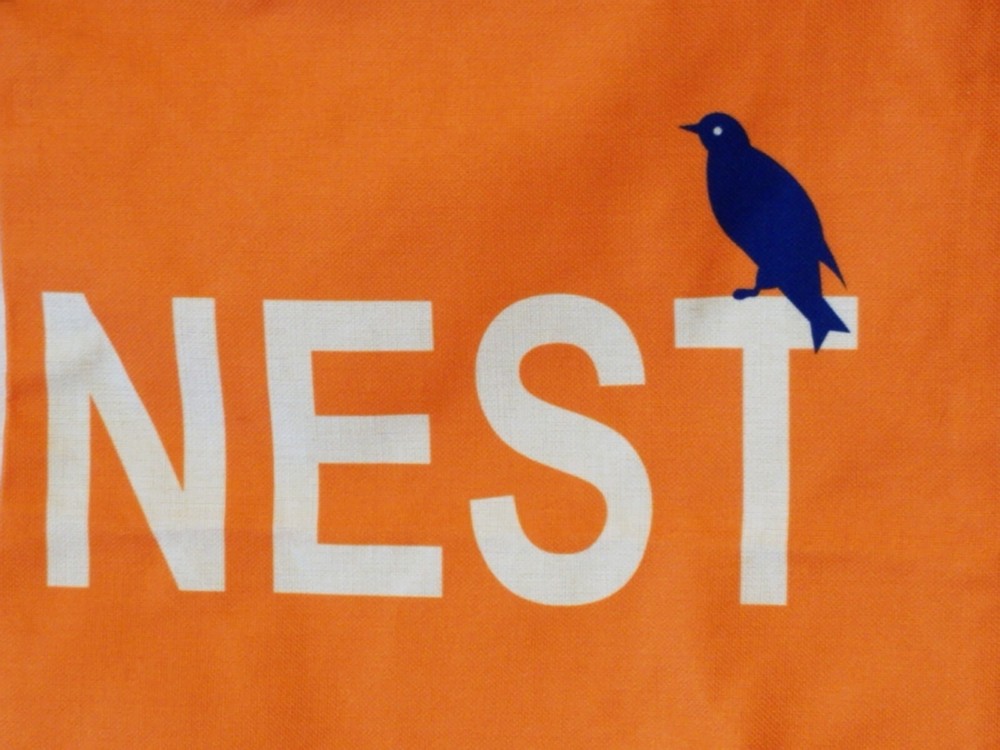 Pillowcase - 'NEST' Blue Bird Crow