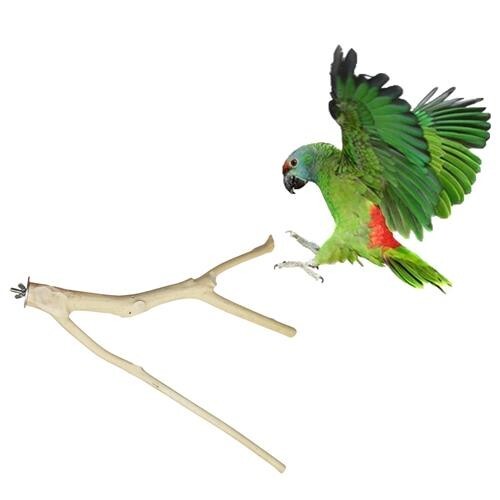 Multi-Branch Perch, Large- Durable Cage Accessory - Sugar Glider, Rat, Parrot