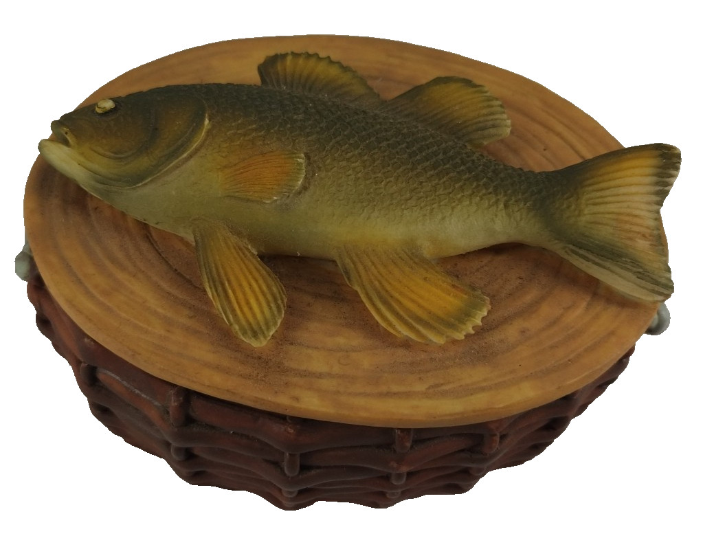 Dezine Hand Painted Trinket Box Fish Perch Real Rattlesnake Rattler Inside  B2