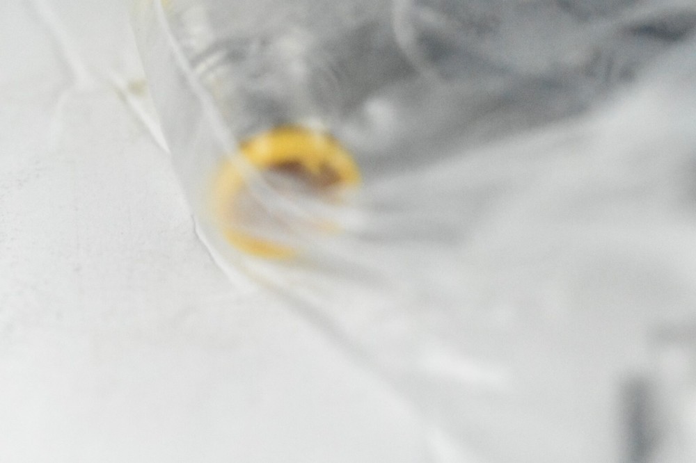 Hach 57960-00 Digital Probe