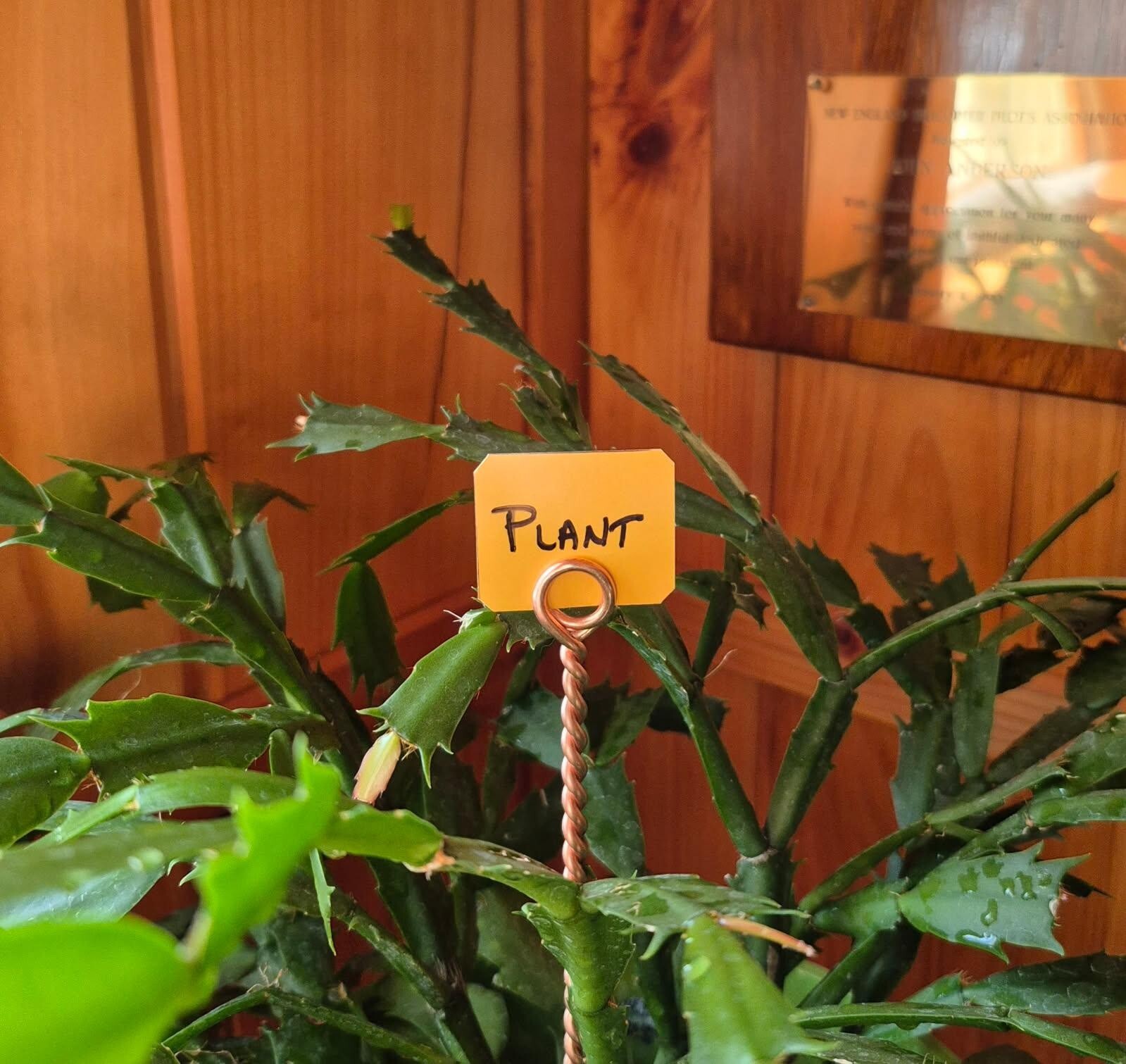 Six (6) 5/32" x 10" Copper Garden Stakes, Electroculture Twisted Wire, Plant ID