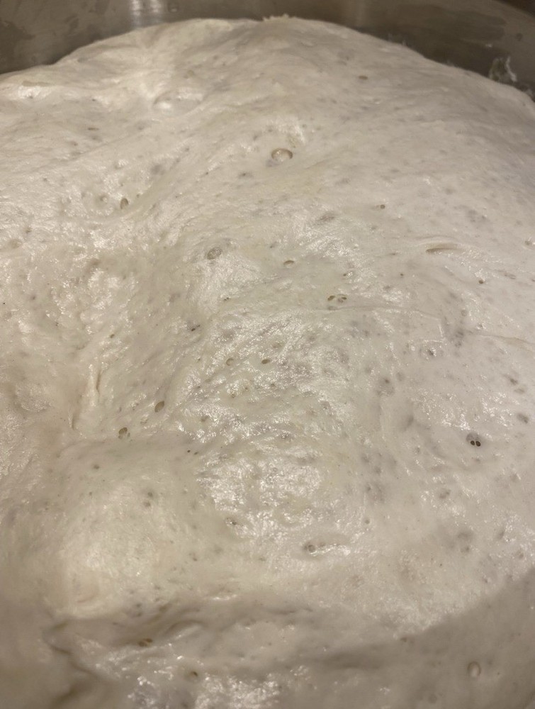 Dehydrated Sourdough Starter!