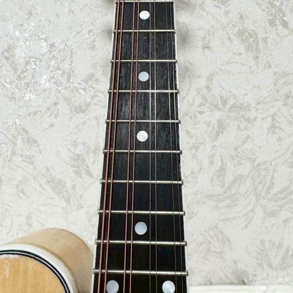 [Rare item] MYLOWE flat mandolin with hard case
