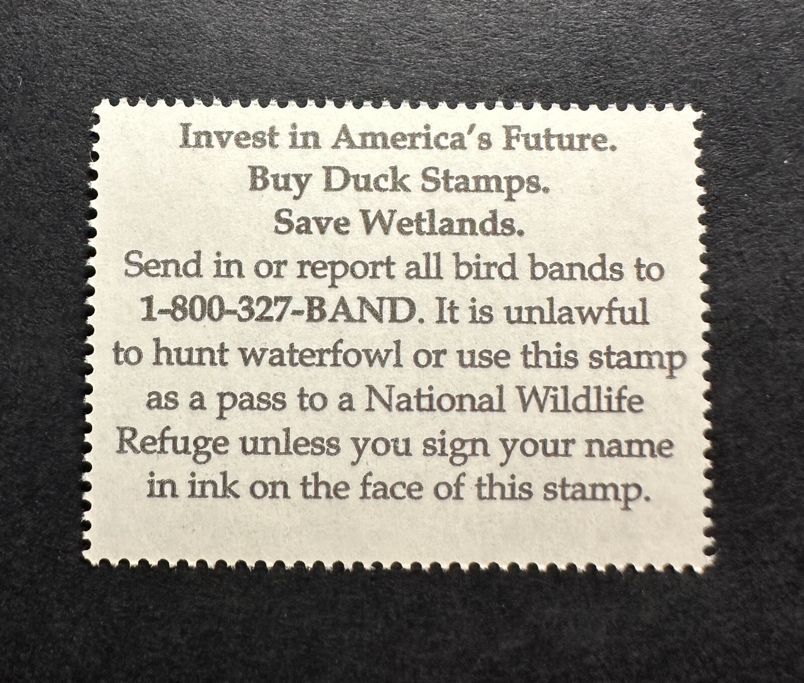 WTDstamps - #RW79 2012 - US Federal Duck Stamp - Mint OG NH