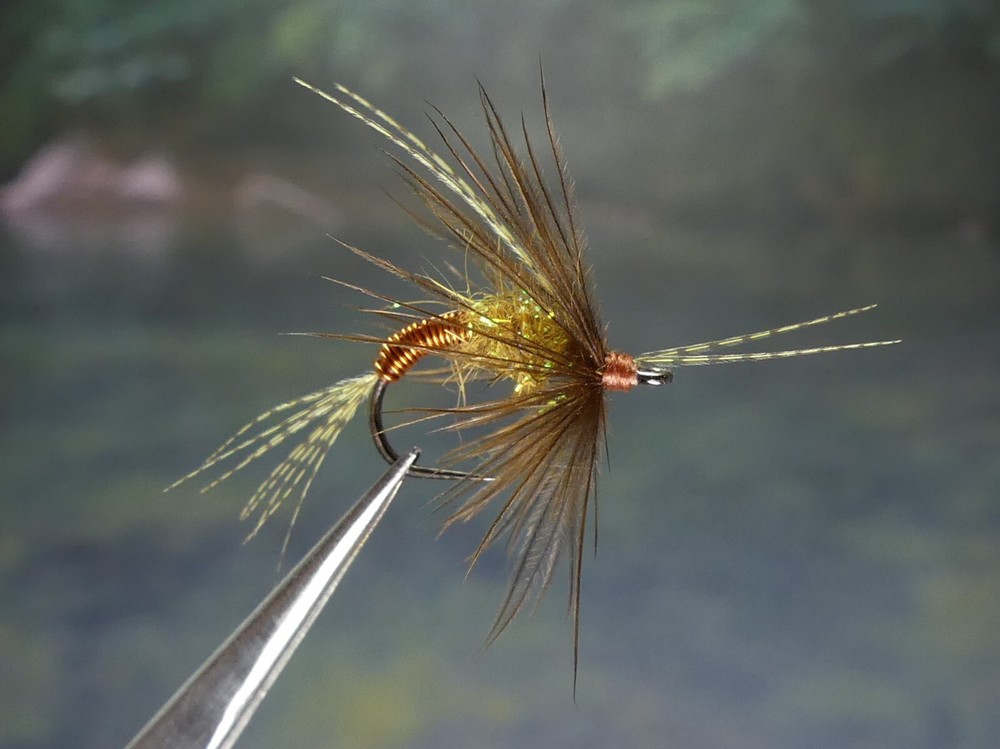 6 Flies - May-Cad Soft Hackled Nymph