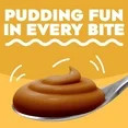 Cook & Serve Butterscotch Pudding & Pie Filling Mix