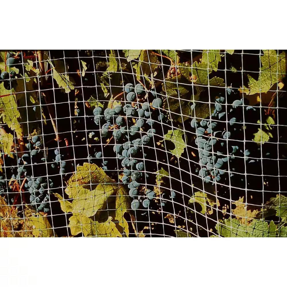 100 Ft. X 14 Ft. Structural Bird Netting