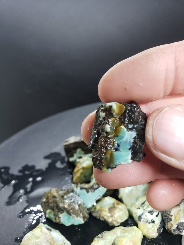 Nevada Gecko Variscite Rough 1/4 Lb
