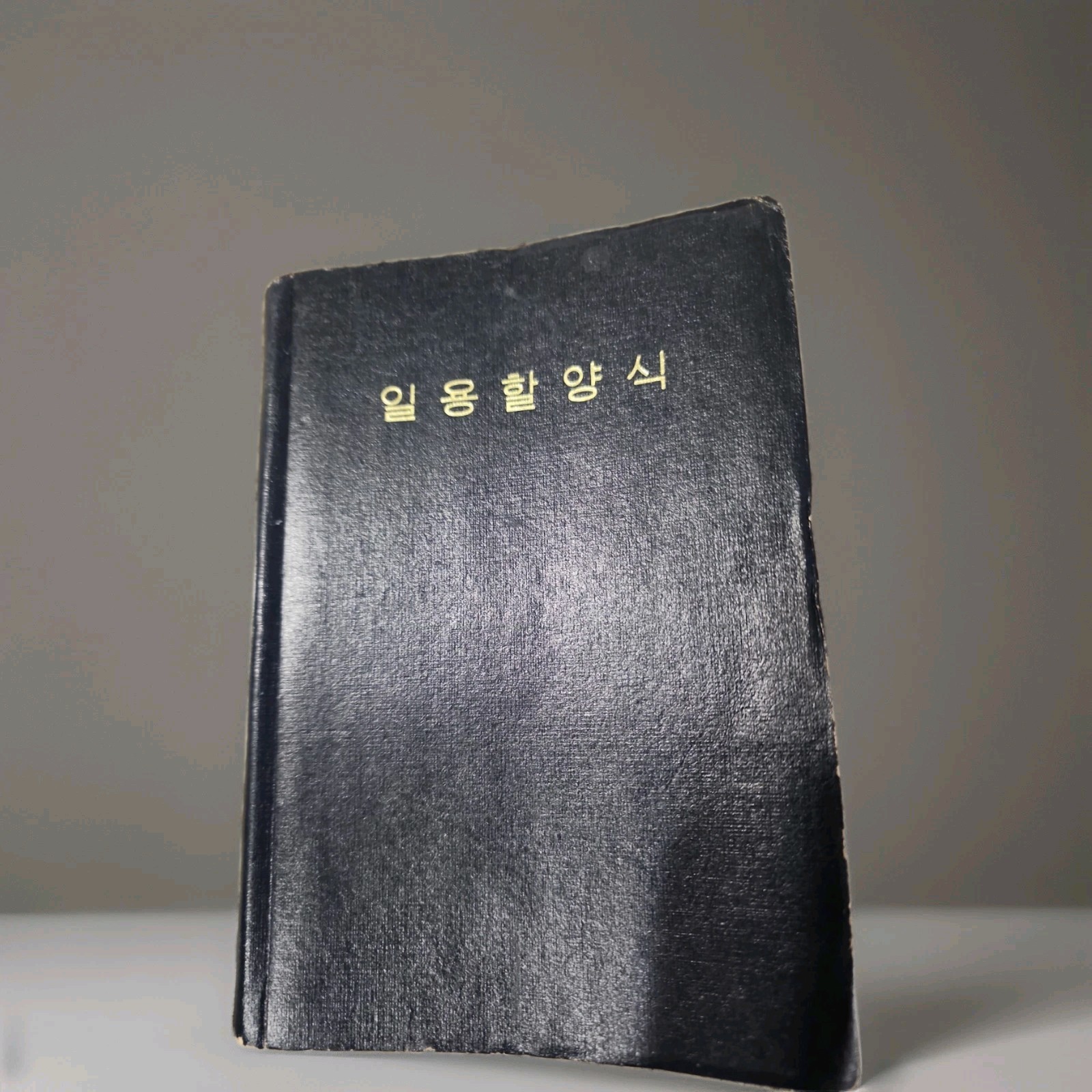 Vintage Asian Hymnal Book. Daily Bread Daily Devotion